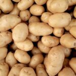 A close-up view of fresh organic potatoes piled together, showcasing natural texture and freshness.