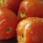 Vibrant close-up of juicy tomatoes with water droplets, showcasing freshness.