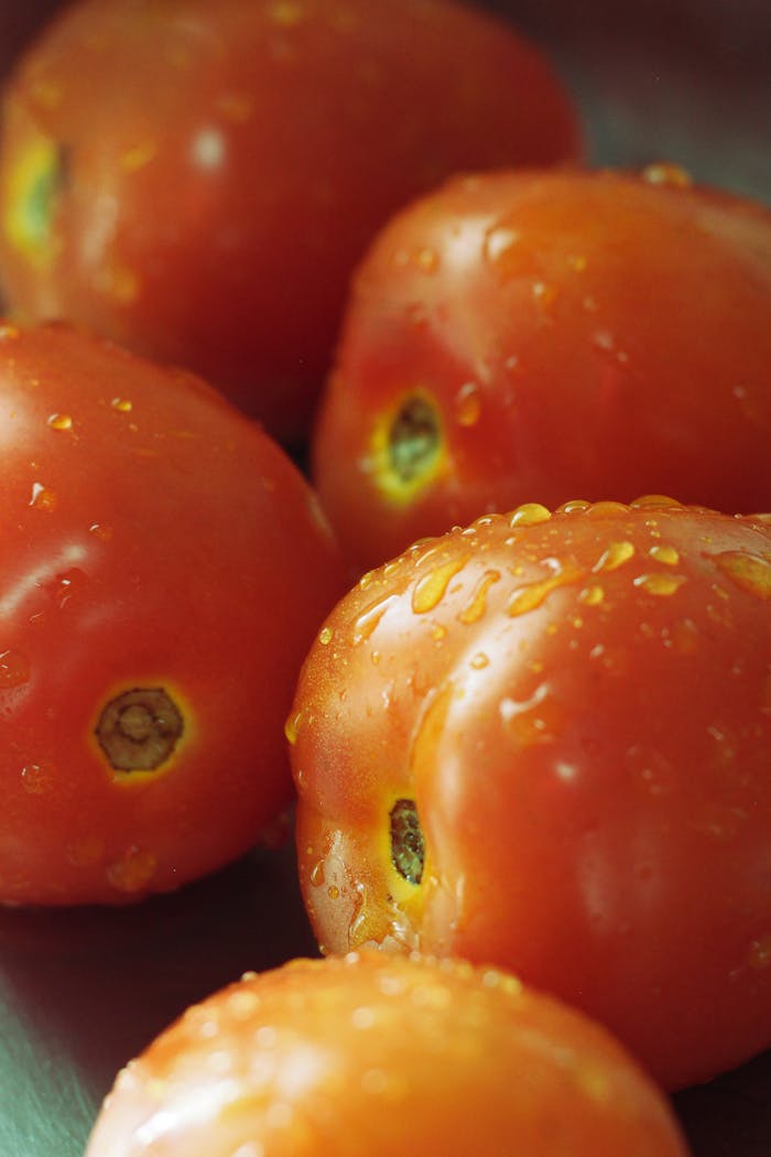 Vibrant close-up of juicy tomatoes with water droplets, showcasing freshness.